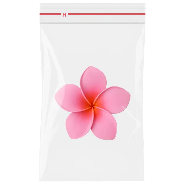 Punga autoadeziva 30x35 cm pentru ambalare, PP
