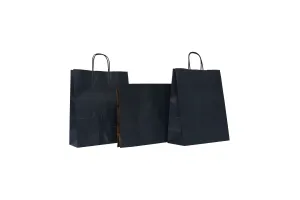 Punga hartie cu maner rasucit 25x11x31 cm, albastra