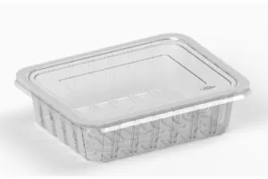 Container pentru termosigilare 227x178x60 mm, IT-3260