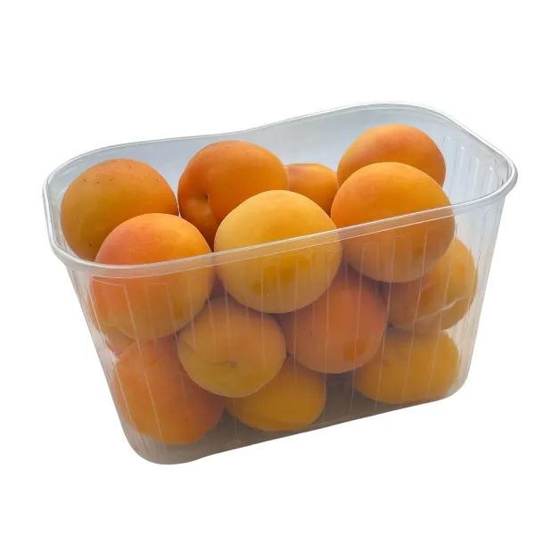 Контейнер для фруктов, 1000 мл