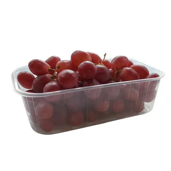 Контейнер для фруктов 500 мл